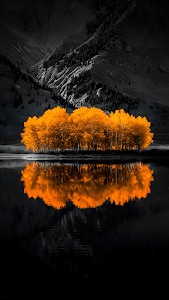 Selective Color Autumn Trees Reflection Monochrome Mountains