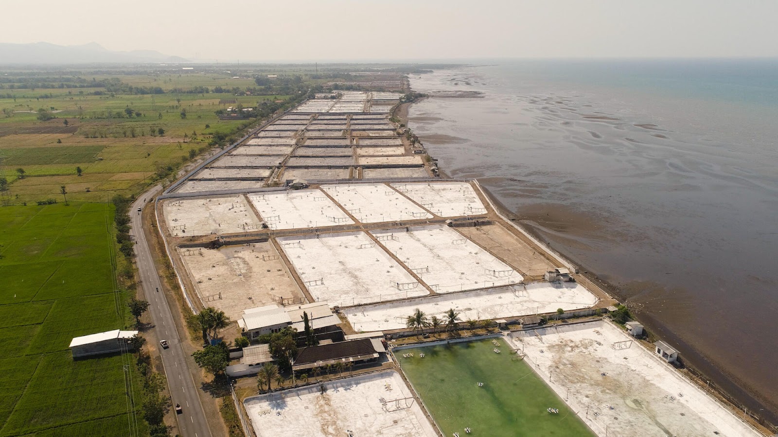 Urbanization and coastal land use are significant reasons for the reduction of mangrove ecosystems in Indonesia.