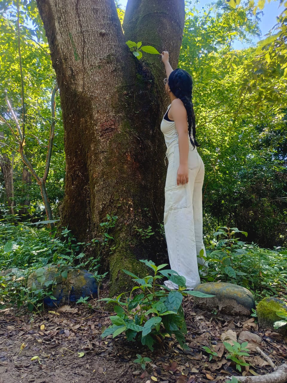 Majo Jose Garcia Franco - fotografía 3