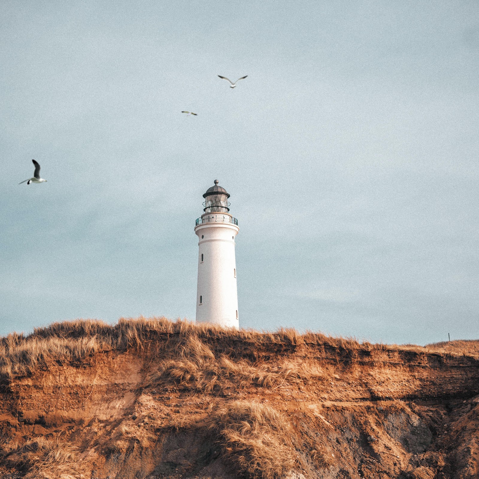 Download Lighthouse On A Grassy Cliff 5K iPhone