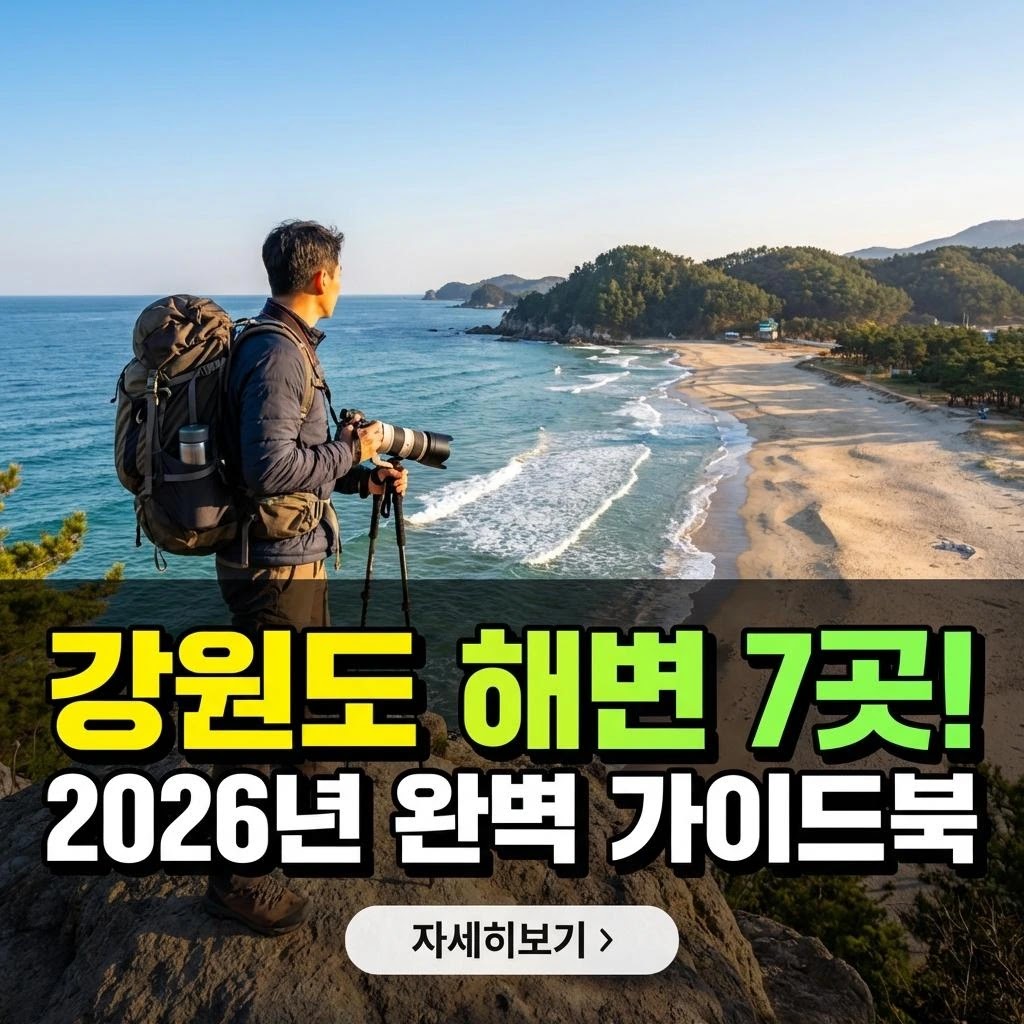 강원도 해변 완전 정복: 2026년 인생샷 가이드
