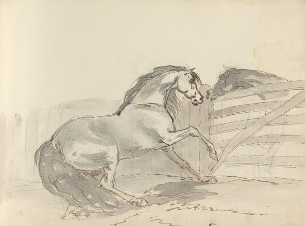 Fourty three Studies of Horses and Riders Pl36 1787