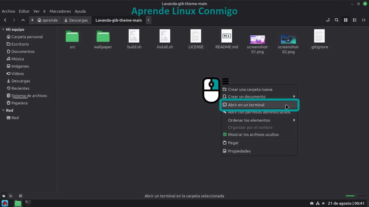 Paso 10