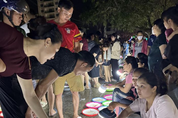 Độc đáo phiên chợ đêm ở Cửa Lò chuyên bán loại hải sản 'nhấp nháy' - Báo Đại Đoàn Kết