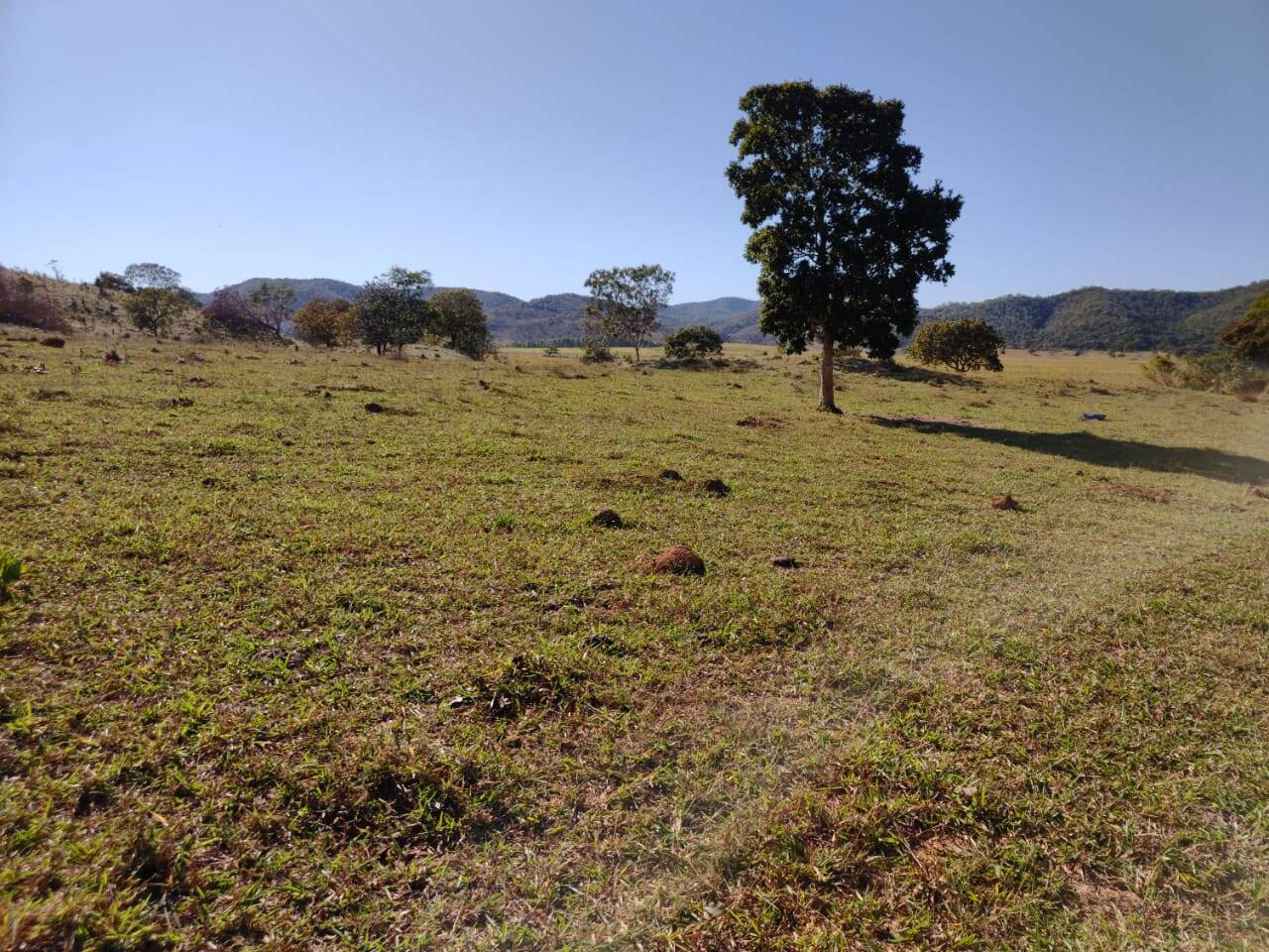 Fazenda em Campinorte-GO 6