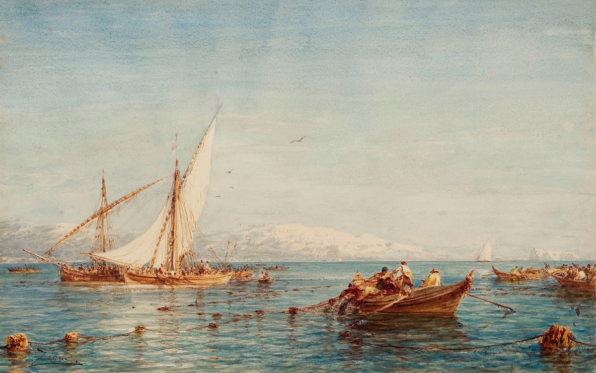 Sausset Environs De Marseille La Pêche Au Thon
