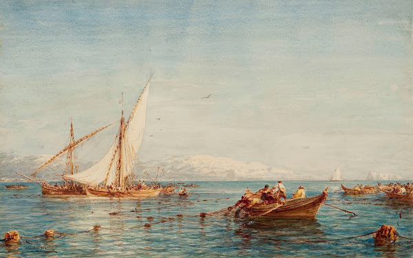 Sausset Environs De Marseille La Pêche Au Thon