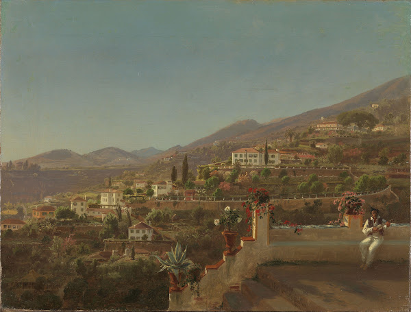 View of Funchal Madeira 1854