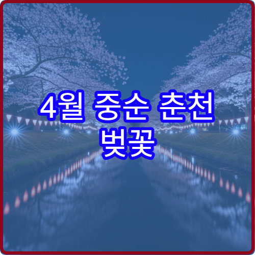 4월 중순 춘천 벚꽃 가족 피크닉 공지천 유원지 명당 위치