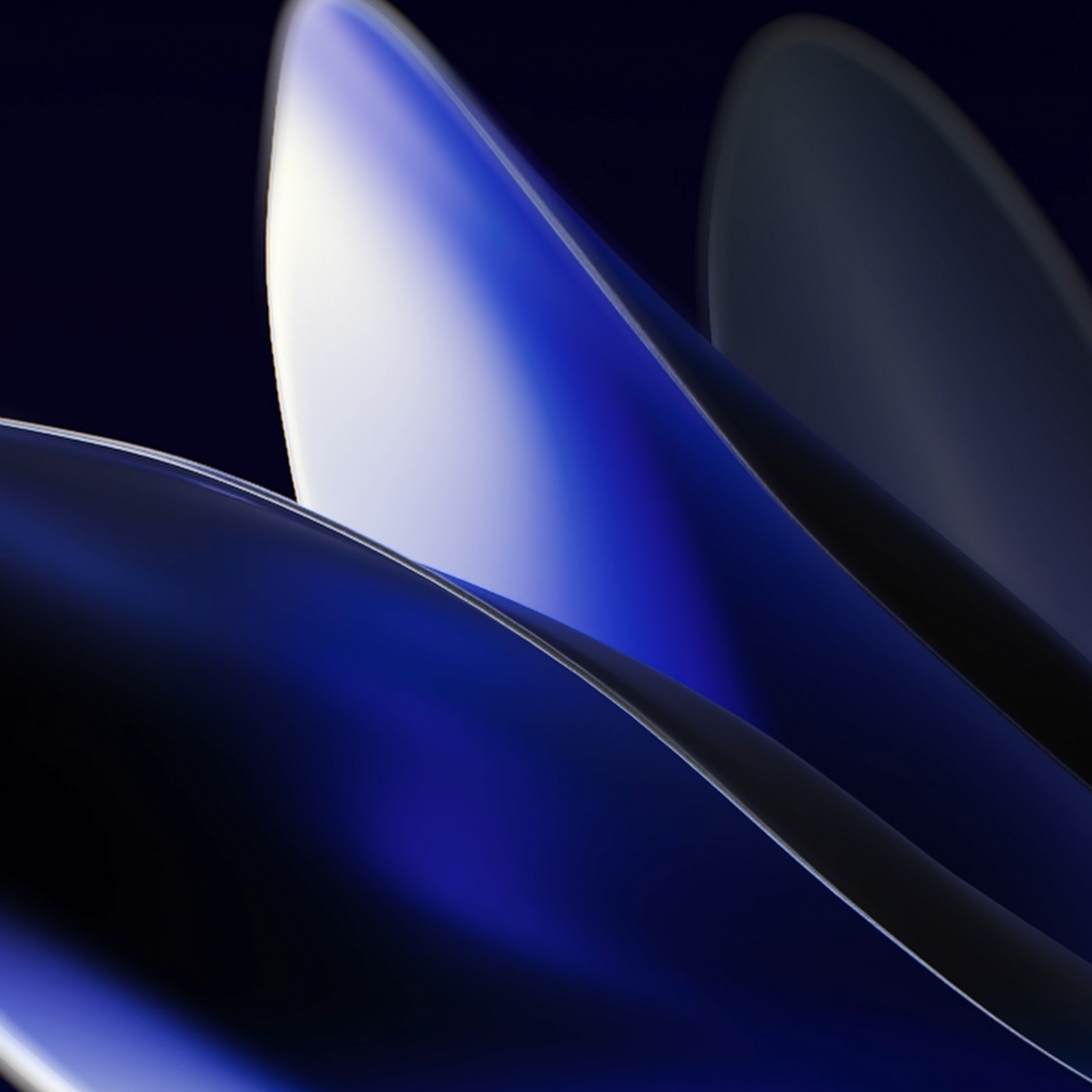 Download Abstract Blue Glossy Petals Full HD iPhone