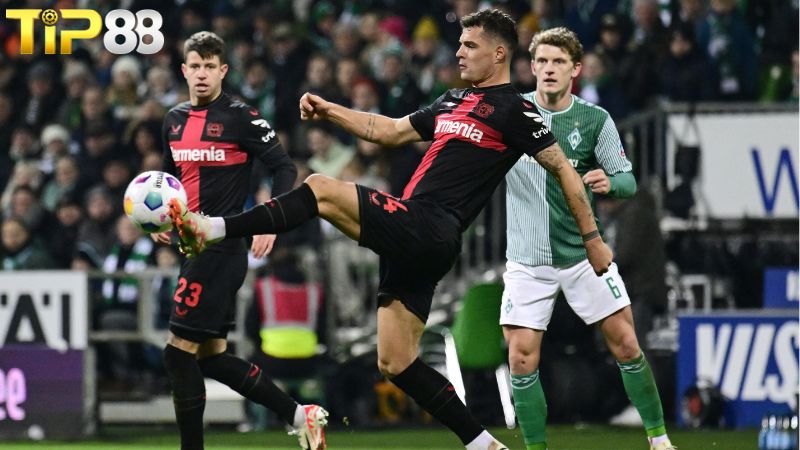 Lịch sử đối đầu giữa Bayer Leverkusen vs Werder Bremen