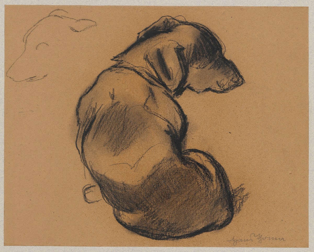 Studies of a dachshund 1885