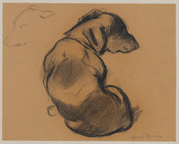 Studies of a dachshund 1885