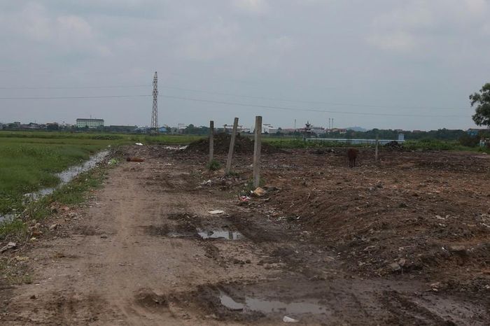 Ninh Bình: Bãi rác sát nghĩa trang ở Vạn Thắng được xử lý sau khi báo chí phản ánh - Chuyên trang Gia Đình &amp; Xã Hội - Báo Sức khỏe &amp; Đời sống