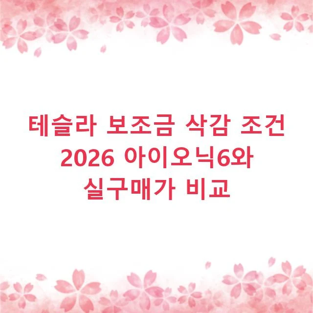테슬라 보조금 삭감 조건 2026 아이오닉6와 실구매가 비교