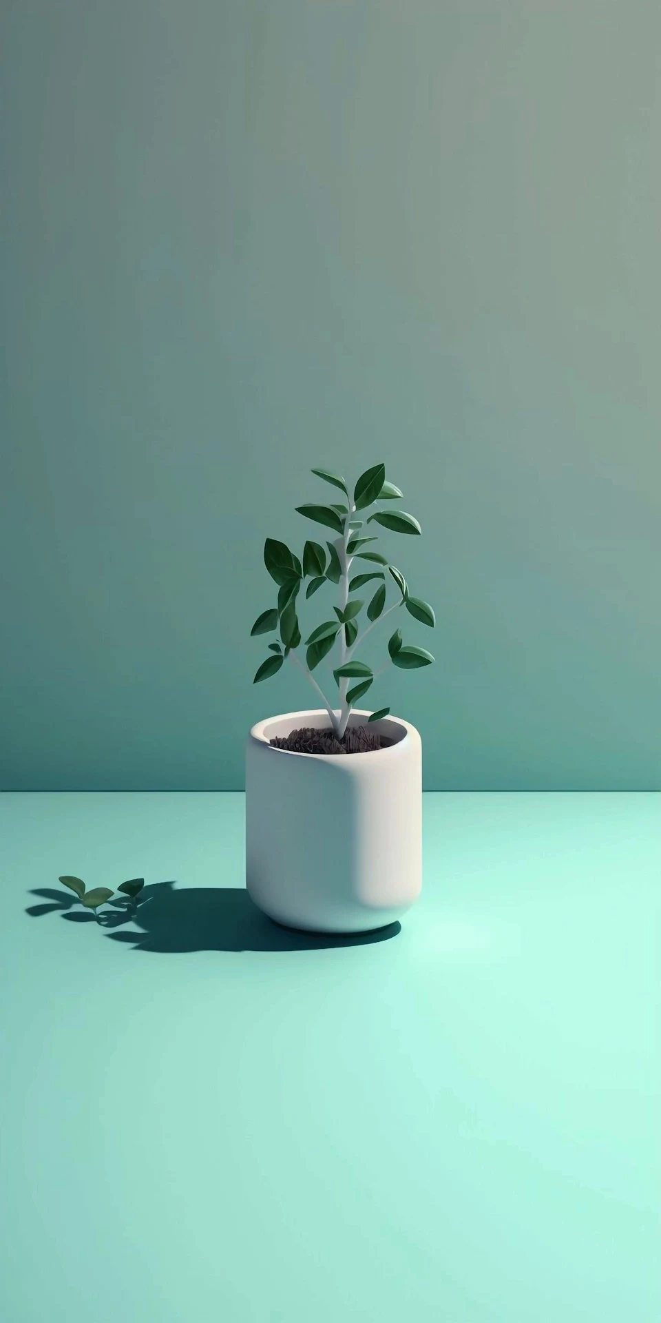 Minimalist Potted Plant on Mint Surface - Free 4K mobile Wallpaper