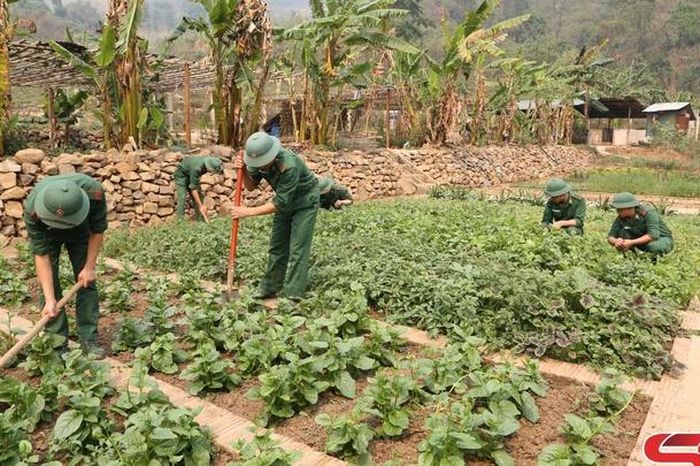 Tăng gia sản xuất nâng cao đời sống bộ đội - Báo Sơn La