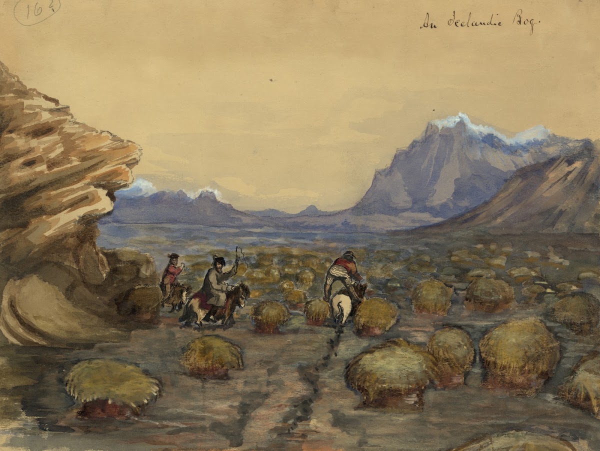 An Icelandic bog 1862