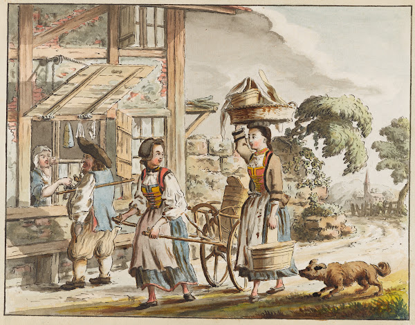 The Kitchen Curator