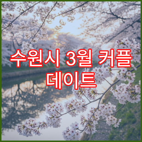 수원시 3월 커플 데이트 여행지 행궁동 벚꽃길 카페 투어 가이드