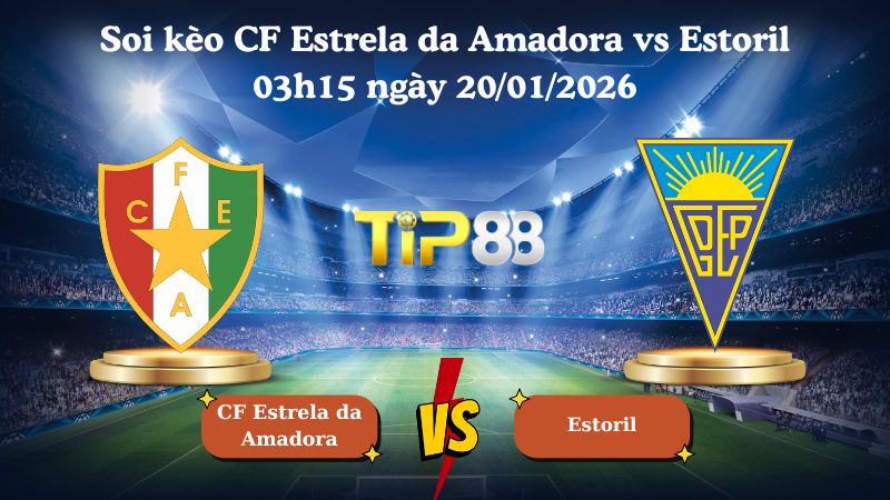 soi kèo CF Estrela da Amadora vs Estoril 03h15 ngày 20/01/2026