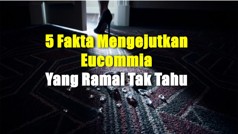 5 Fakta Mengejutkan Eucommia Yang Ramai Tak Tahu