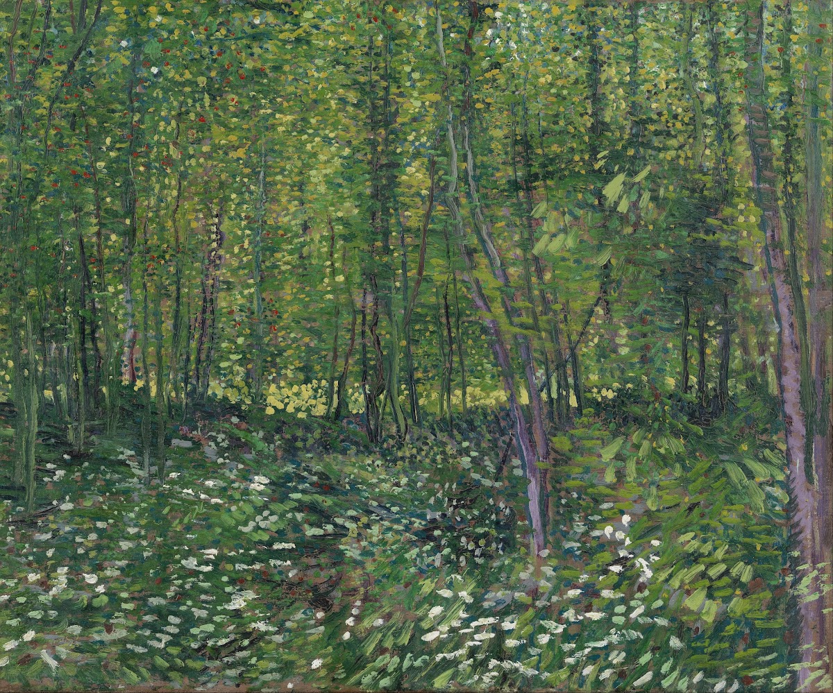 Trees and undergrowth 1887