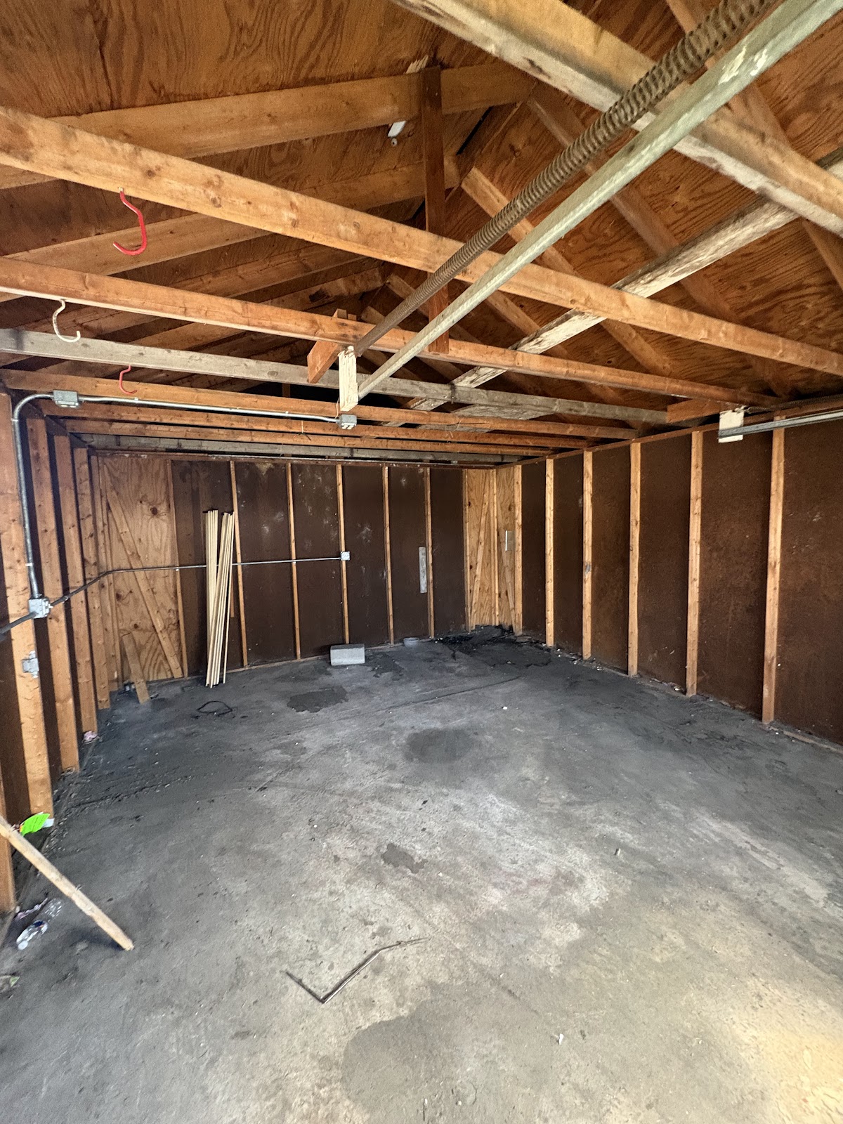 Copy of IMG_8173.HEIC