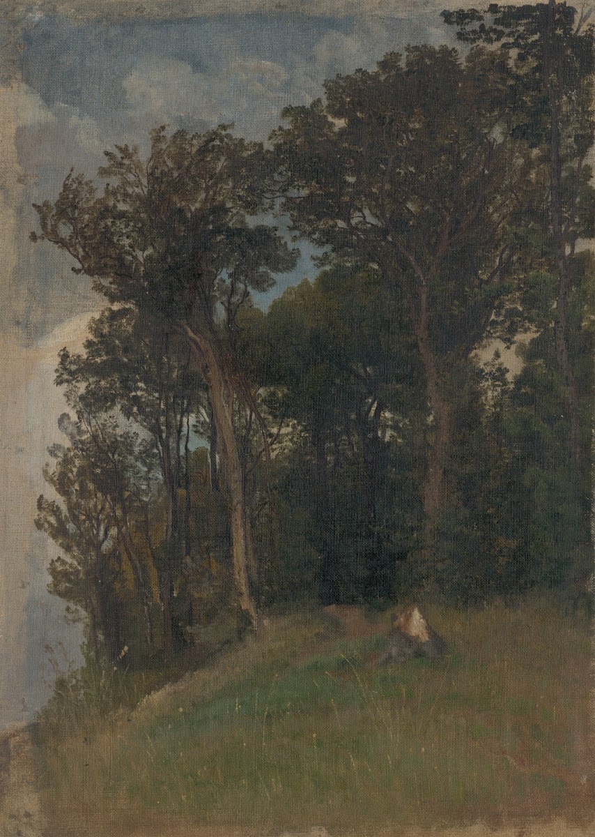 At the Edge of a Forest 1890