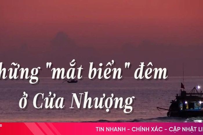 Những 'mắt biển' đêm ở Cửa Nhượng - Báo Hà Tĩnh