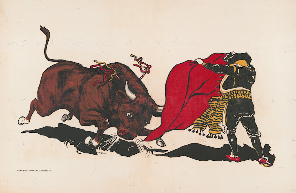 Matador and bull 1903