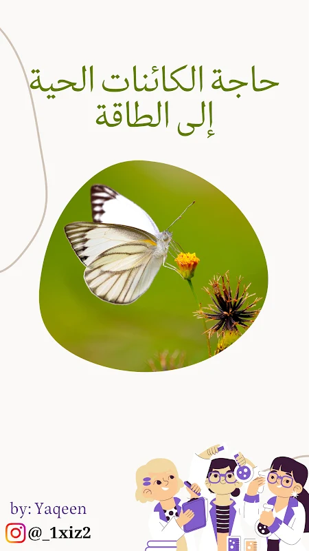 صورة الغلاف