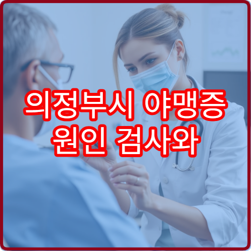 의정부시 야맹증 원인 검사와 안과 정밀 진료 병원 정보
