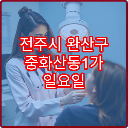 전주시 완산구 중화산동1가 일요일 진료 산부인과 여성 건강 상담