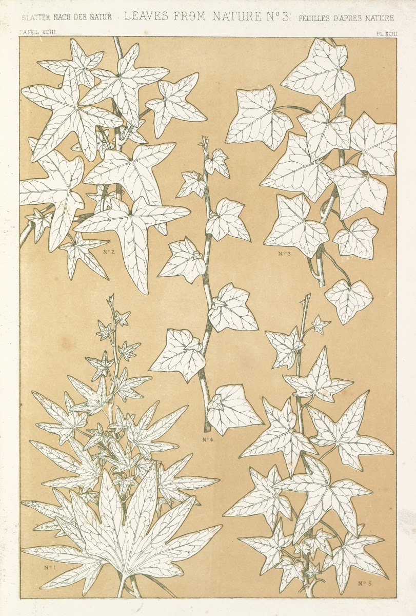 Leaves from Nature No3 1856