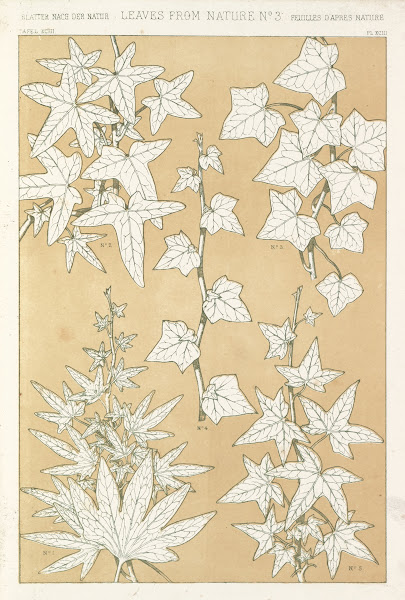 Leaves from Nature No3 1856