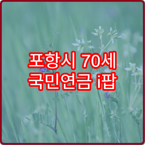 포항시 70세 국민연금 i팝 2026 조기수령 장단점 분석