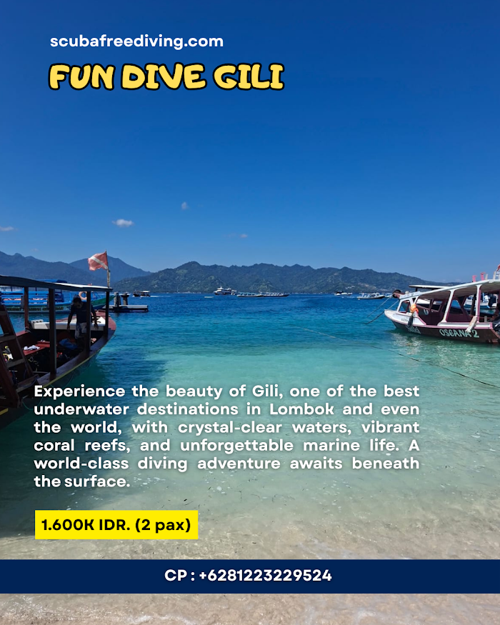 Fun Dive Gili — 2 Dives