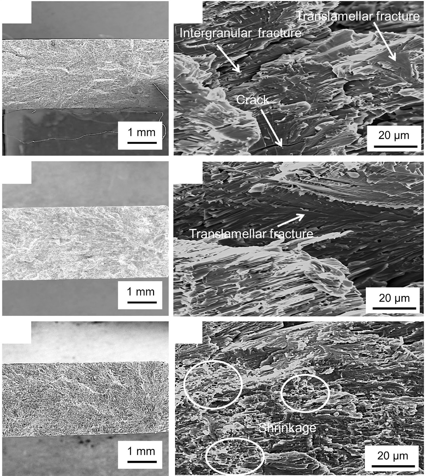 Effect of pouring time on microstructure and mechanical properties of centrifugal cast Ti-46Al alloy tubes