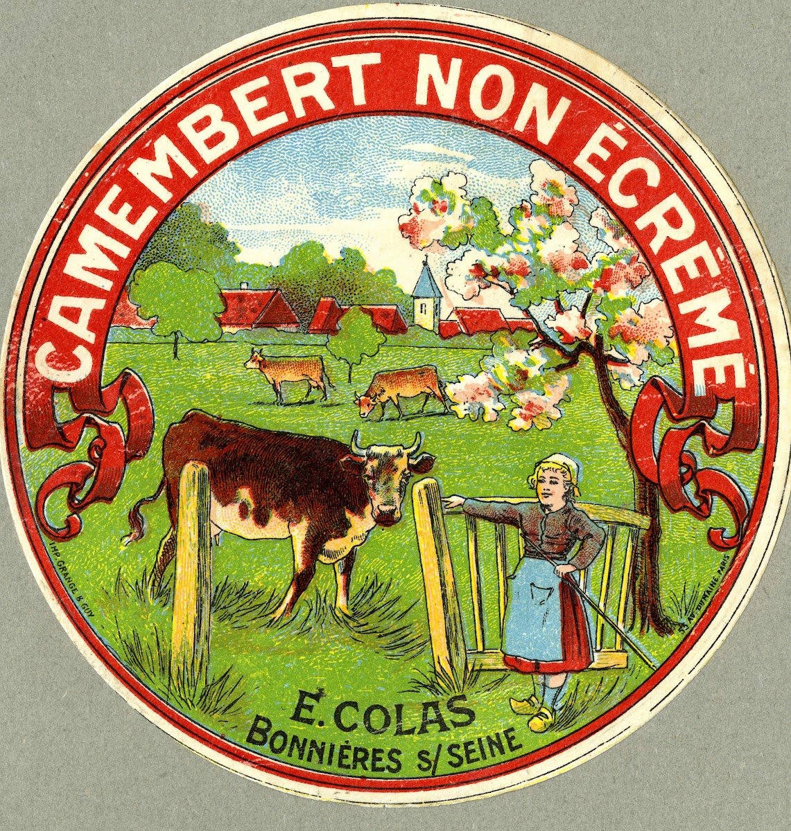 Camembert non écrémé