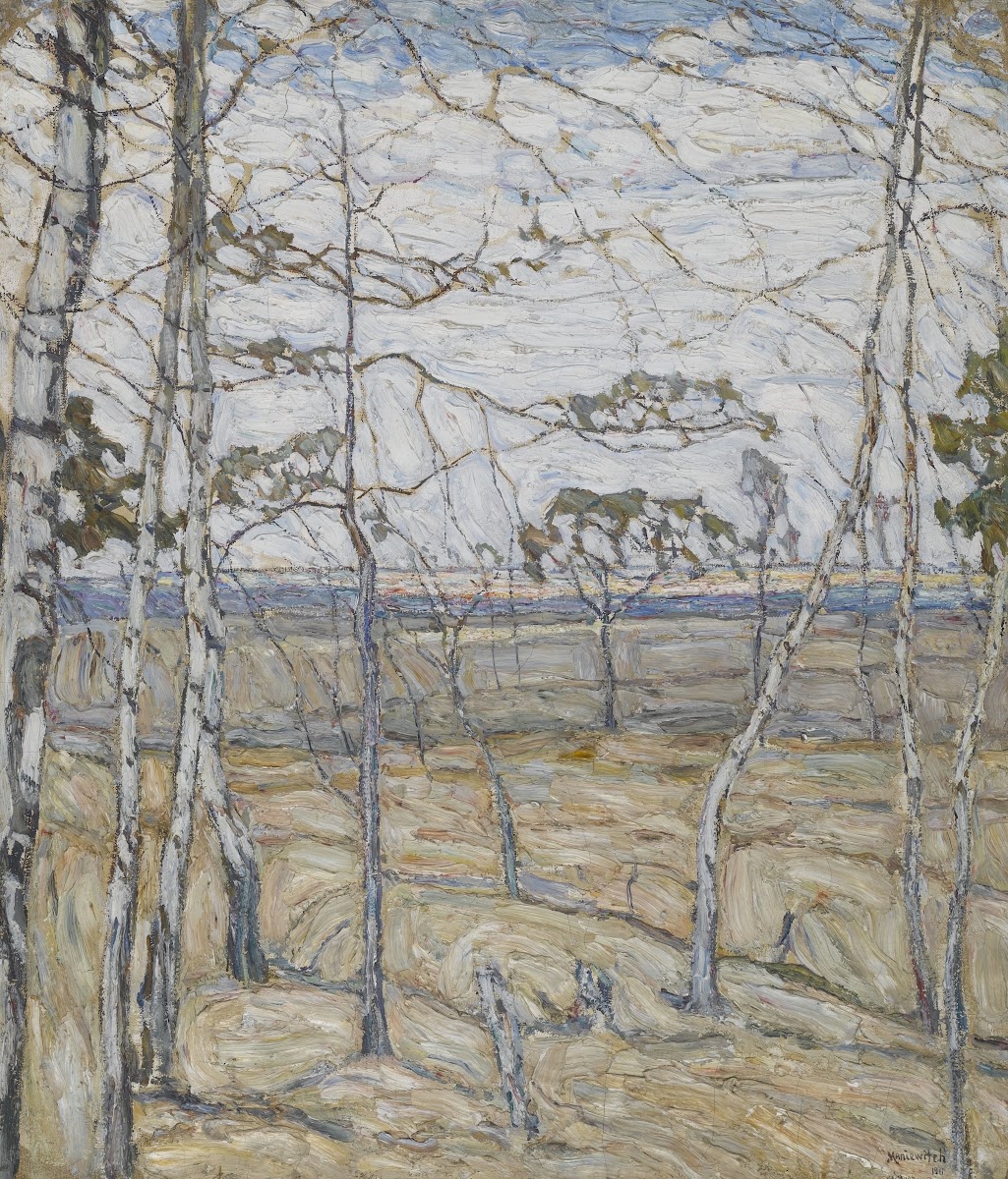 Birch Trees