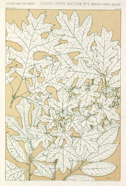 Leaves from Nature No4 1856
