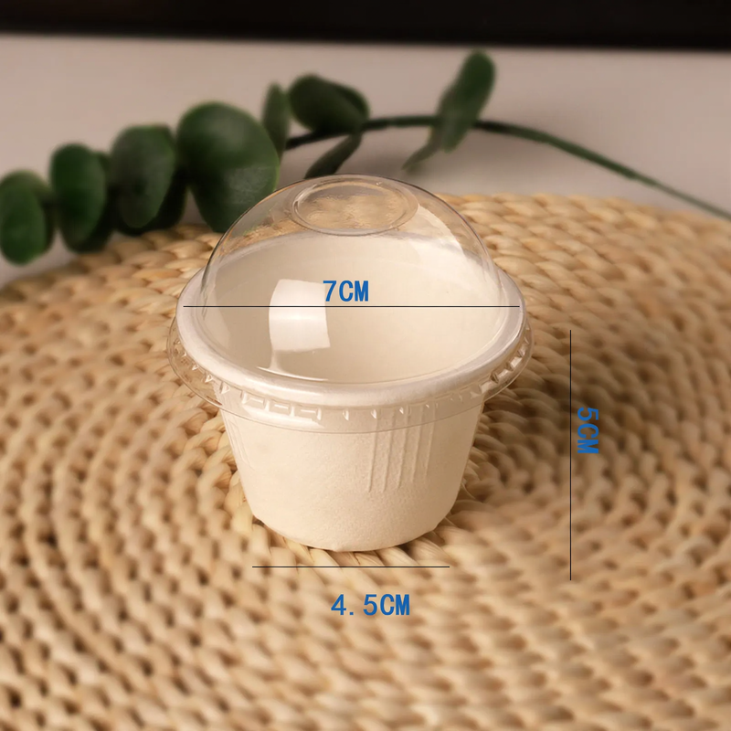 Disposable paper container, biodegradable