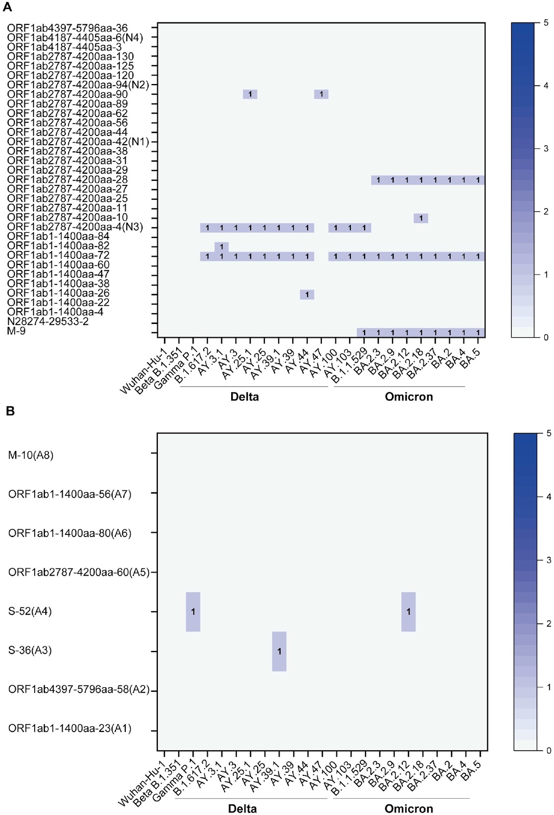 Construction and efficacy testing of DNA vaccines containing HLA-A*02:01-restricted SARS-CoV-2 T-cell epitopes predicted by immunoinformatics