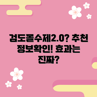 검도몰수제2.0오리사시 효과, 검도몰수제2.0오리사시 정보, 검도몰수제2.0오리사시란 무엇인가, 효과는 과연 무엇일까, 왜 검도몰수제2.0오리사시인가