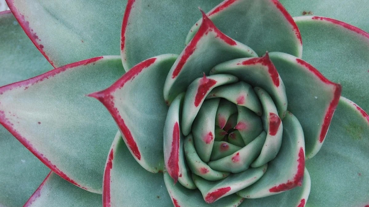 PER과 PBR 지표 활용법과 저평가주식 발굴 시 주의할 점