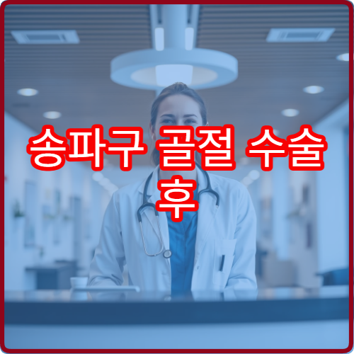 송파구 골절 수술 후 물리치료 전문 병원과 프로그램 안내