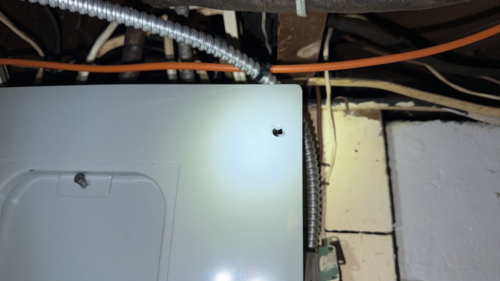 Copy of IMG_2026-03-13_14-31-14_700.jpg