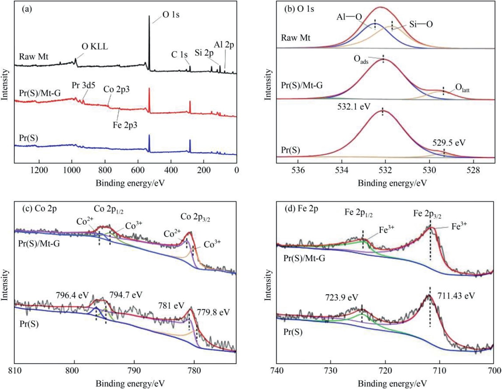 Preparation of PrFexCo1exO3/Mt catalyst and study on degradation of 2-hydroxybenzoic acid wastewater by catalytic wet peroxide oxidation