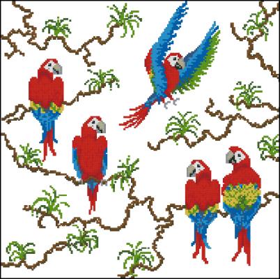 CMP 330221 Parrots